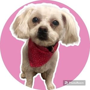 Meet your Posher, Louann